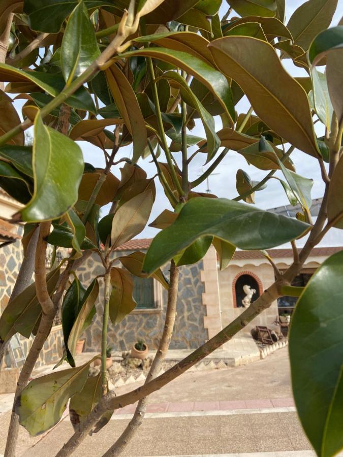 Esse Natura Alojamientos & Lifestyle Pozohondo Екстер'єр фото